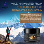 Shilajit suplemento nutricional